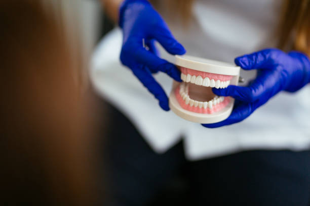 Why Choose Us for Your Dental Needs in Keystone Heights, FL