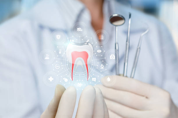 Best Root Canal Treatment  in Keystone Heights, FL