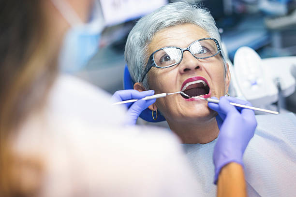 Trusted Keystone Heights, FL  Holistic Dental Services Experts
